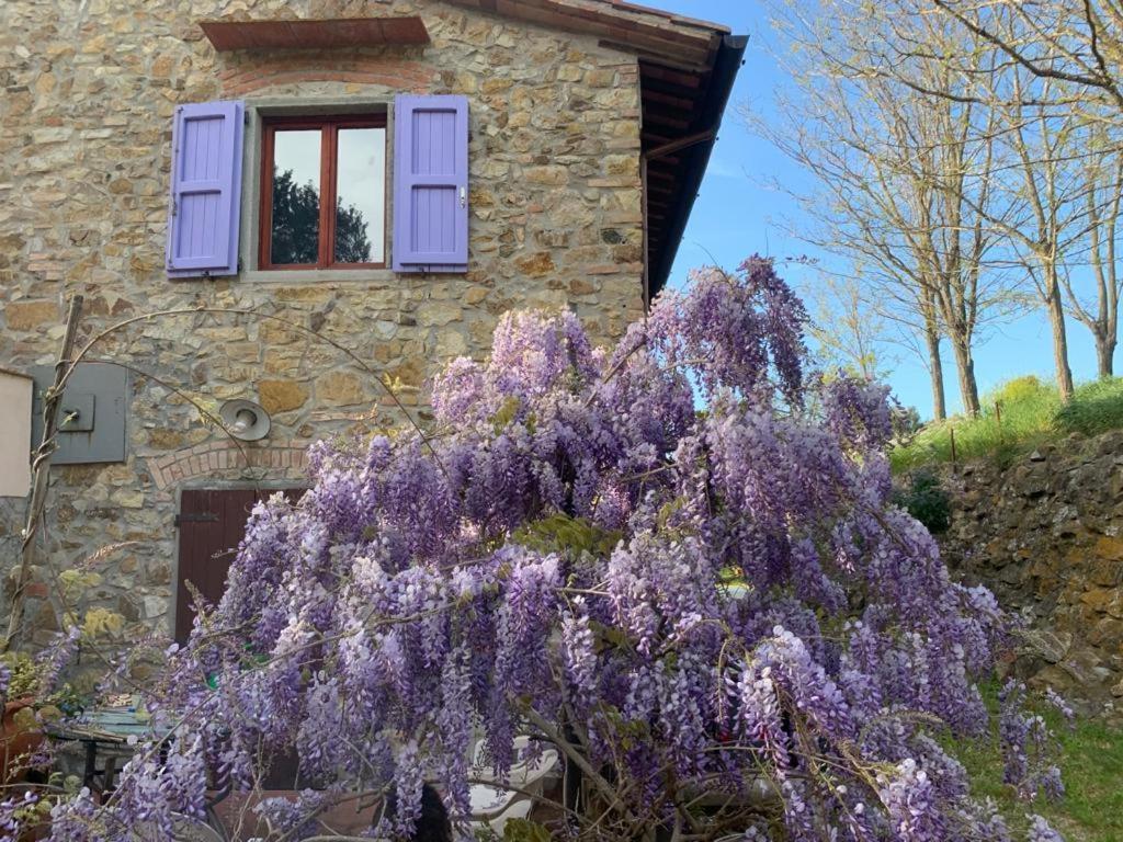 Antico Casale Il Fiorentino Montenero  Exterior photo